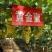 【推荐】山东葡萄苗/苗场直发/品种齐全/视频看货/电询