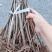 【优质】山东优质红油香椿苗基地直发根系发达