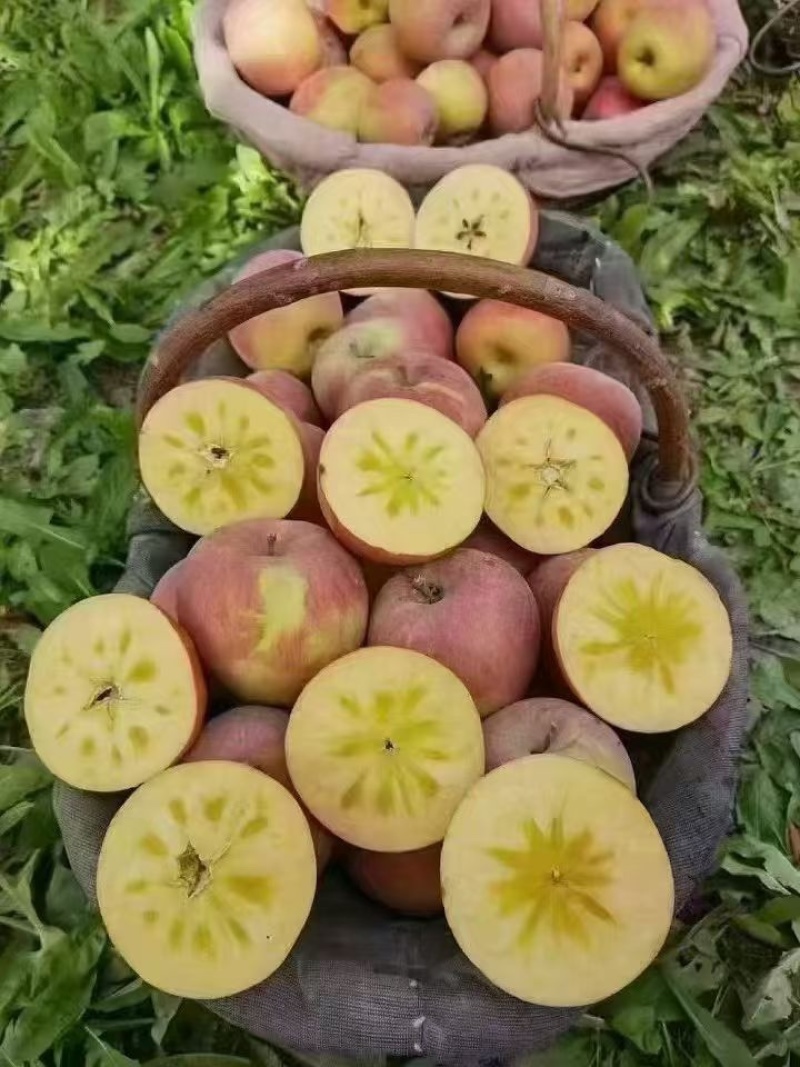 阿克苏冰糖心红富士苹果
