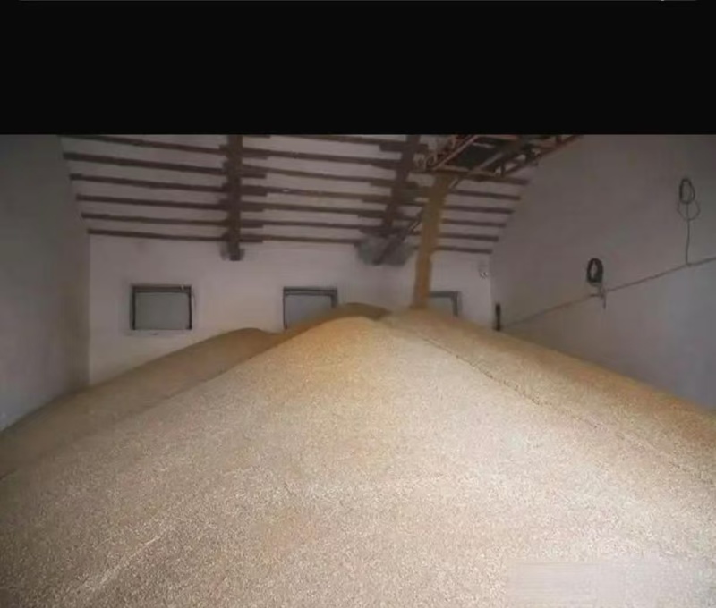 包邮东北珍珠米2025年新米批发餐饮食堂含运费