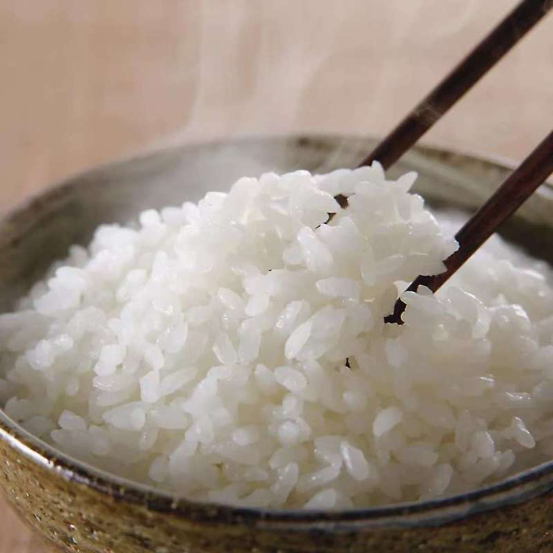 包邮东北珍珠米2025年新米批发餐饮食堂含运费