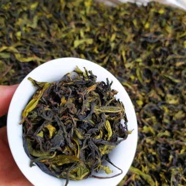 土山茶潮汕八仙茶惠来雪茶土山茶心八仙茶高山土山茶1斤