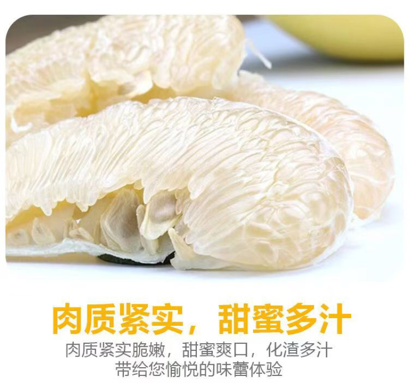 梅县精品沙田柚产地果园直发果肉脆嫩爽口支持代发