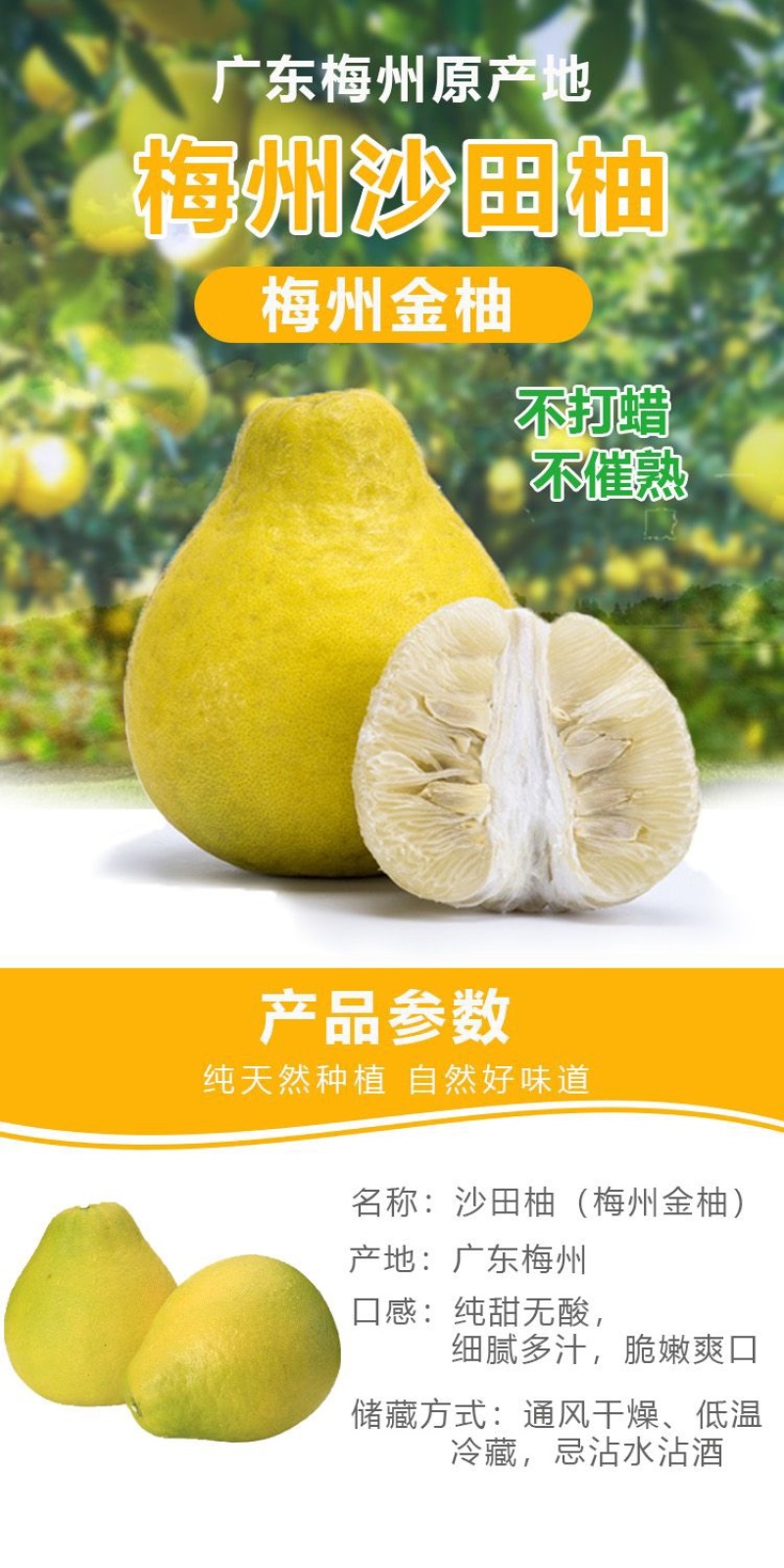 梅县精品沙田柚产地果园直发果肉脆嫩爽口支持代发