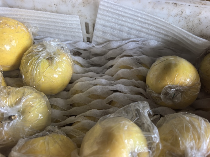 金冠酸甜可口产地直发