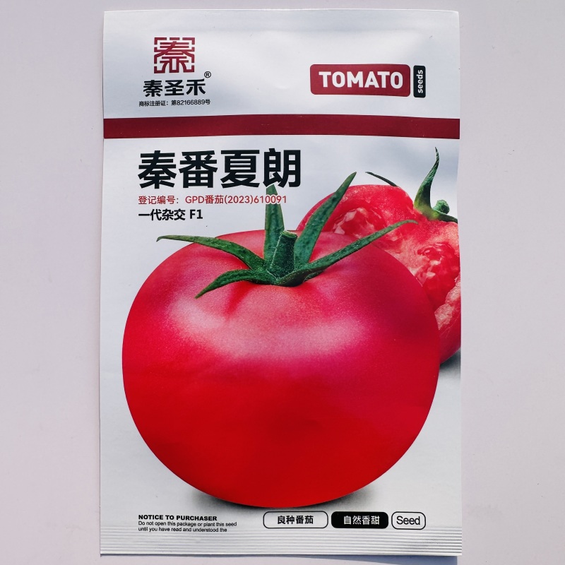 秦番夏朗番茄种子大果深粉红西红柿种子香甜抗病耐热番茄种籽
