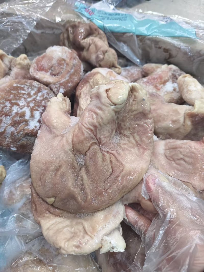 纯干熟大肚，熟猪肚，去油干净熟肚
