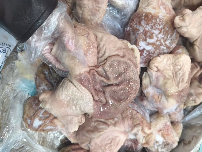 纯干熟大肚，熟猪肚，去油干净熟肚
