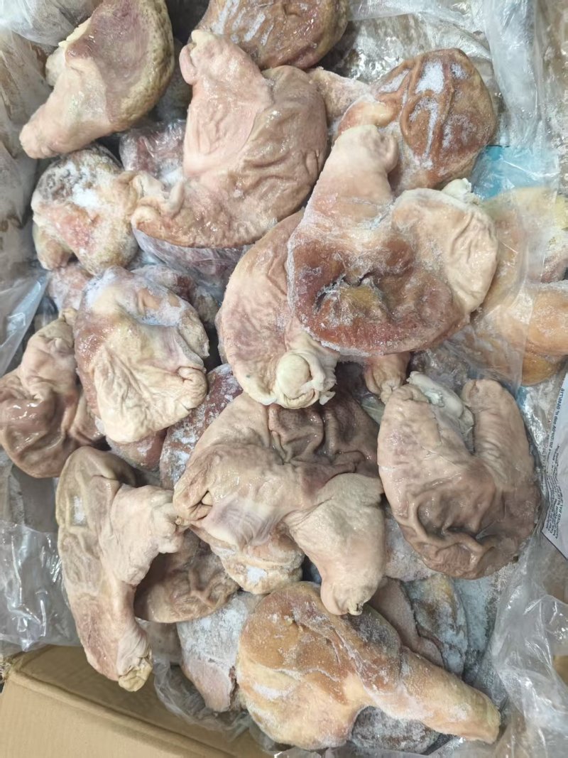 纯干熟大肚，熟猪肚，去油干净熟肚