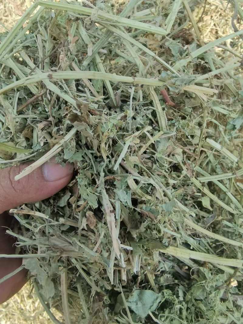 东北柔丝玉米秸秆干白净碎，质量保证，诚信**