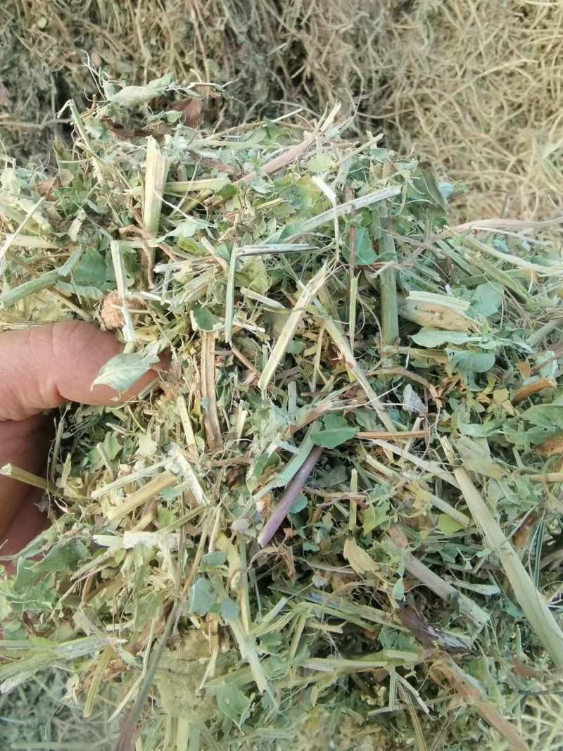东北柔丝玉米秸秆干白净碎，质量保证，诚信**