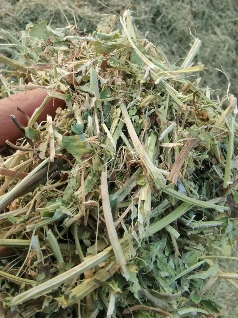 东北柔丝玉米秸秆干白净碎，质量保证，诚信**
