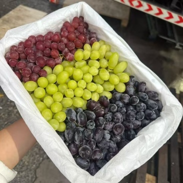 新疆三色提