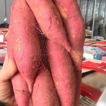 内蒙产区榴莲蜜薯口感软糯香甜