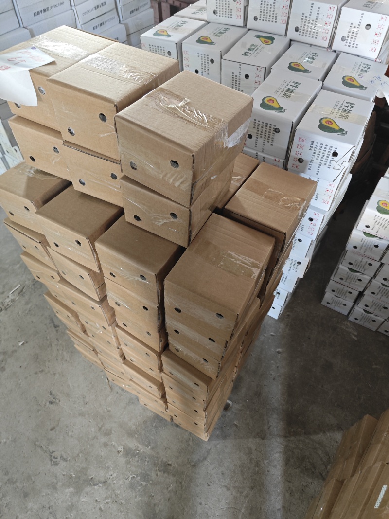 牛油果一件代发