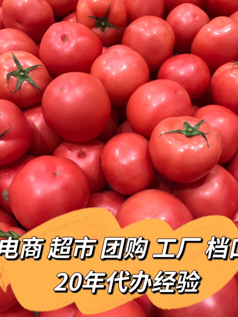 大红西红柿
