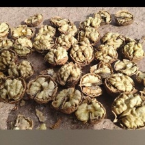 【云南漾濞核桃】薄皮核桃圆波罗麻子核桃皮薄仁饱满品质保证