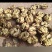 【云南漾濞核桃】薄皮核桃圆波罗麻子核桃皮薄仁饱满品质保证