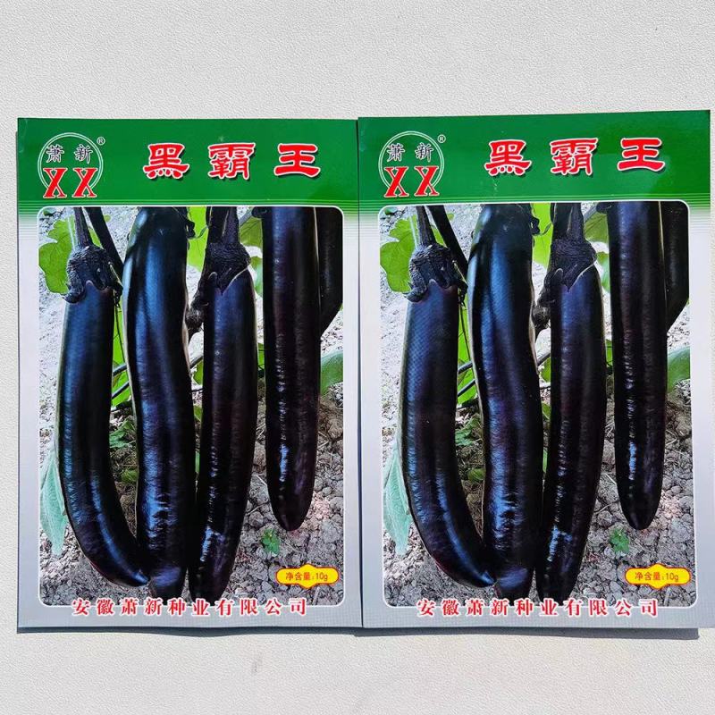 萧新黑霸王茄子种子果实粗长大果紫黑亮丽耐热耐湿茄子种子