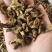 山西黄芩本草批发枯芩黄芩规格齐全量大从优