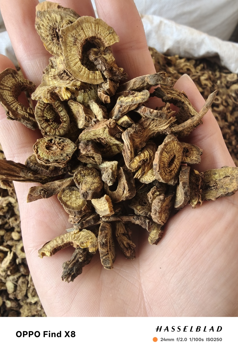 山西黄芩本草批发枯芩黄芩规格齐全量大从优