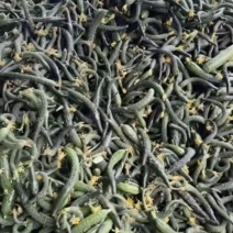 鲜瓜妞
