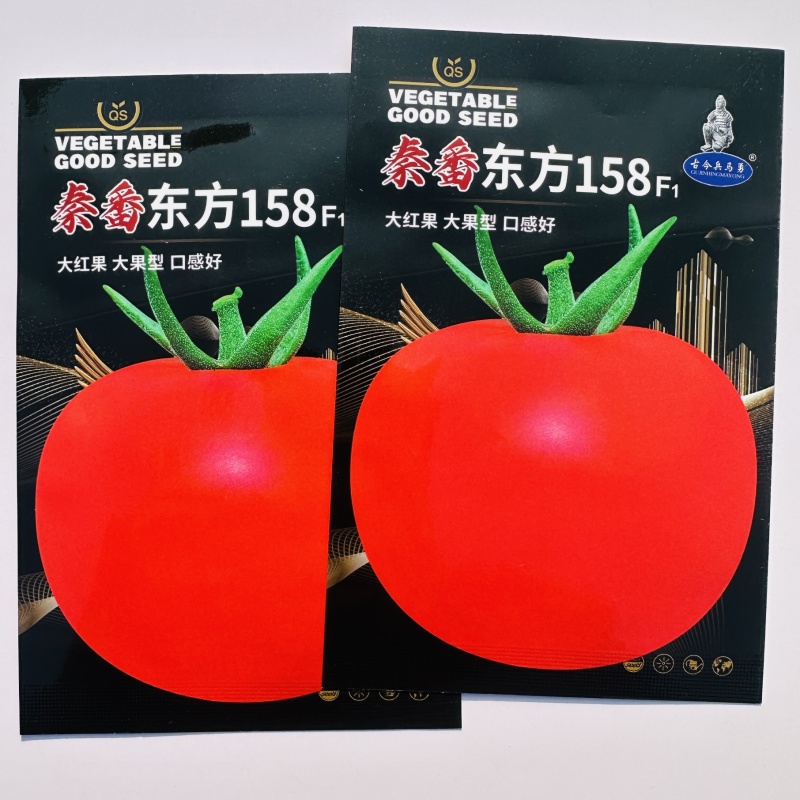 秦番东方158番茄种子大红果番茄西红柿种子大果型口感好