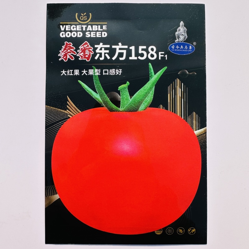 秦番东方158番茄种子大红果番茄西红柿种子大果型口感好