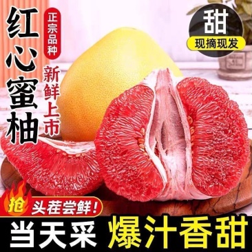 福建平和红心柚密柚大量现货供应支持电商一件代发抖音多多