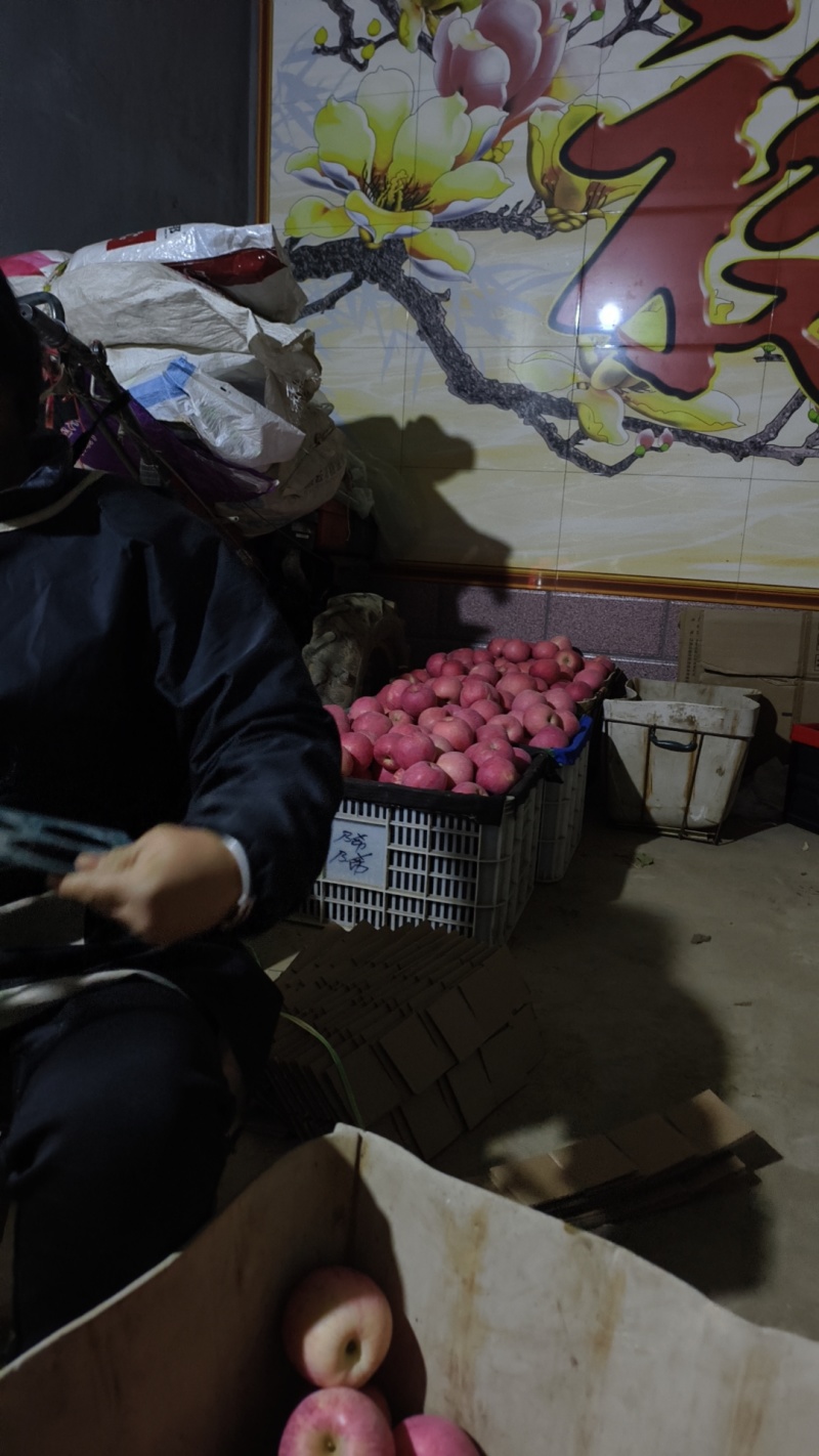 烟台红富士苹果，80果，零售，净重10斤