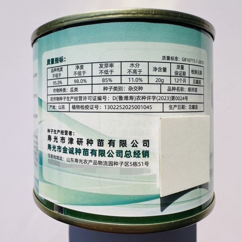绿玲珑丝瓜种子早熟油亮短棒丝瓜种籽产量高山东油皮丝瓜种子