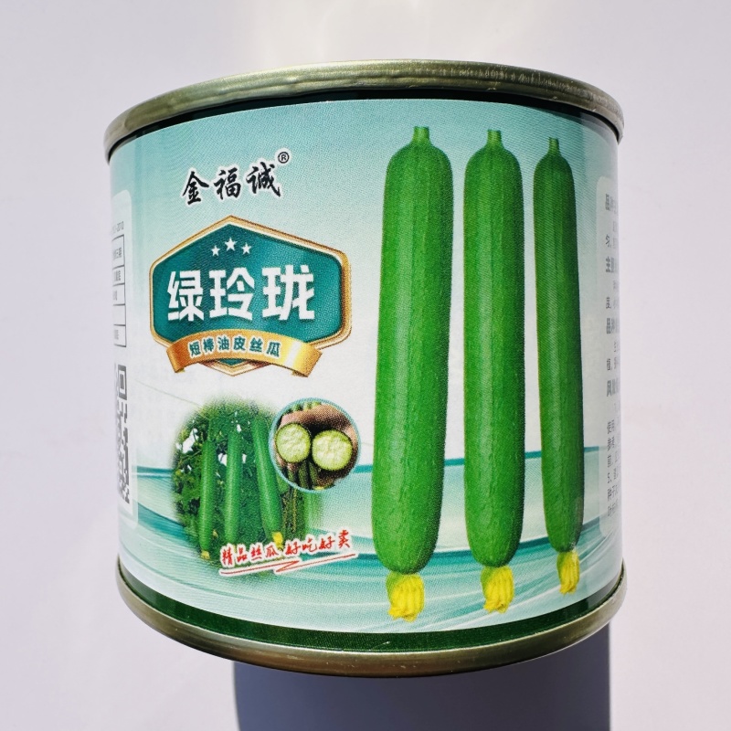 绿玲珑丝瓜种子早熟油亮短棒丝瓜种籽产量高山东油皮丝瓜种子