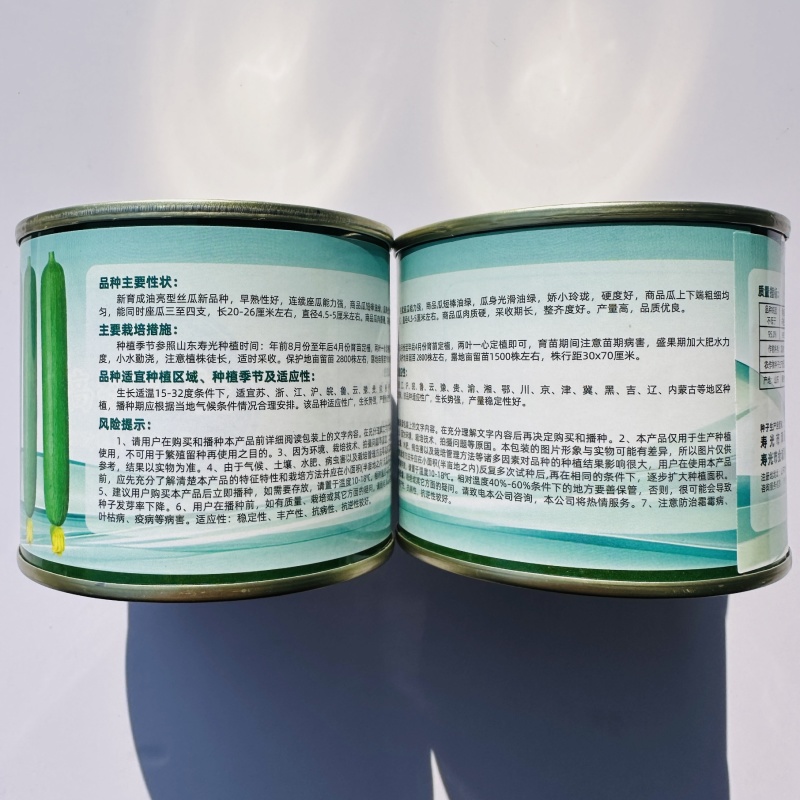 绿玲珑丝瓜种子早熟油亮短棒丝瓜种籽产量高山东油皮丝瓜种子