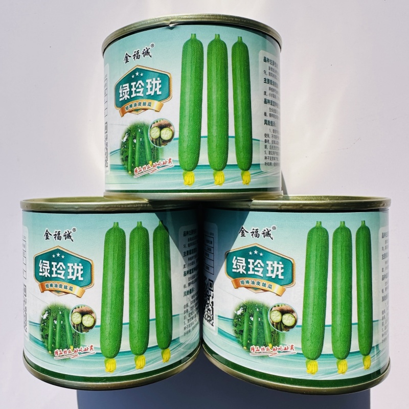 绿玲珑丝瓜种子早熟油亮短棒丝瓜种籽产量高山东油皮丝瓜种子