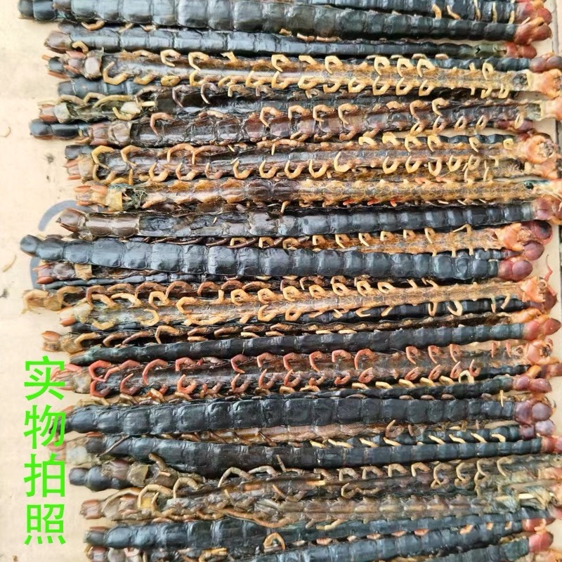 蜈蚣红头蜈蚣无竹签规格齐全中药材批发零售
