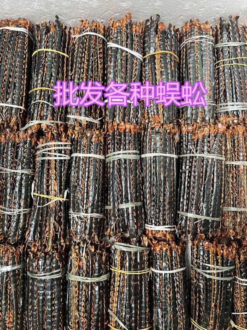 蜈蚣红头蜈蚣无竹签规格齐全中药材批发零售