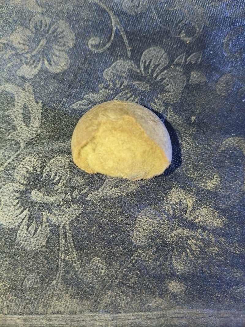 羊结石