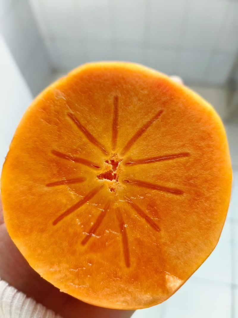 陕西阳丰巧克力脆柿