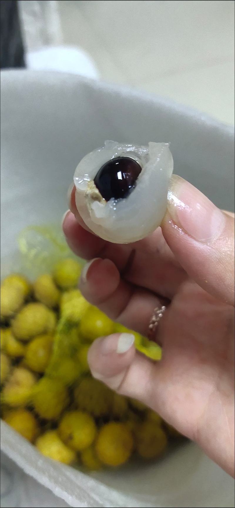 新鲜龙眼，桂圆，现摘现发，包邮到家！保鲜发货，冷链运输！