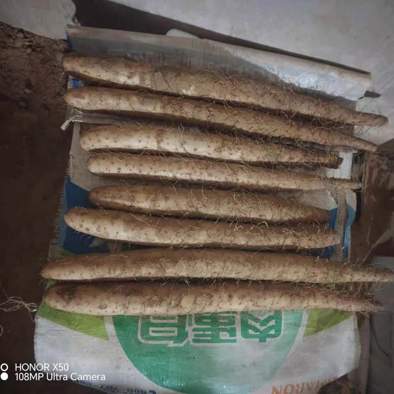 《推荐》精品山药/沙地山药/双棒山药/紫药/小白嘴