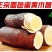 精品黄心木薯货源充足量大从优质量保证产地供应诚信经