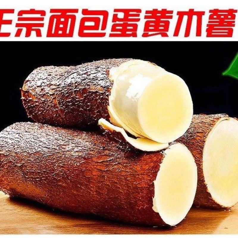 精品黄心木薯货源充足量大从优质量保证产地供应诚信经
