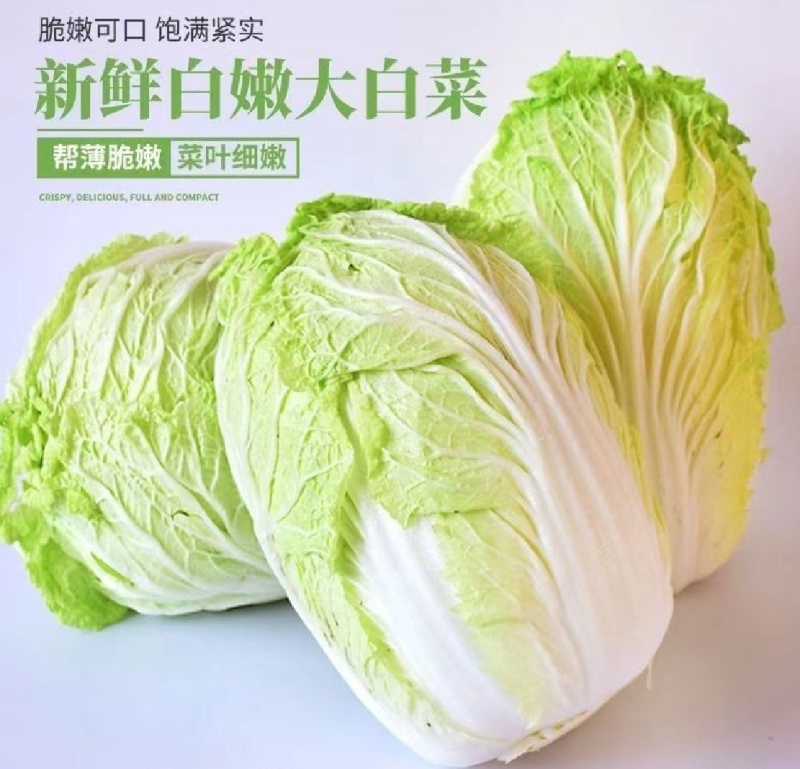白菜，湖北黄心大白菜，大量供应，产地直发，诚信经营