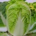 白菜，湖北黄心大白菜，大量供应，产地直发，诚信经营