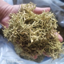中药材金银花二花规格齐全大货供应一件代发