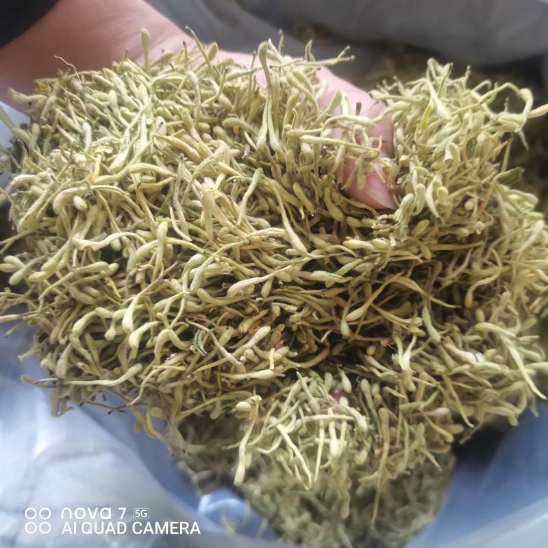 中药材金银花二花规格齐全大货供应一件代发
