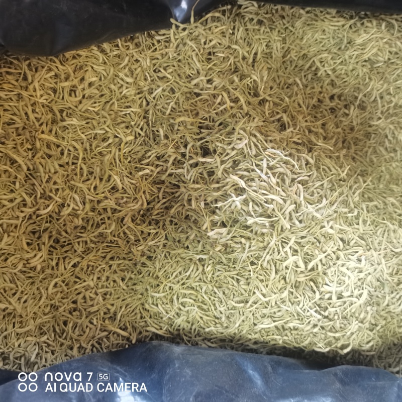 中药材金银花二花规格齐全大货供应一件代发