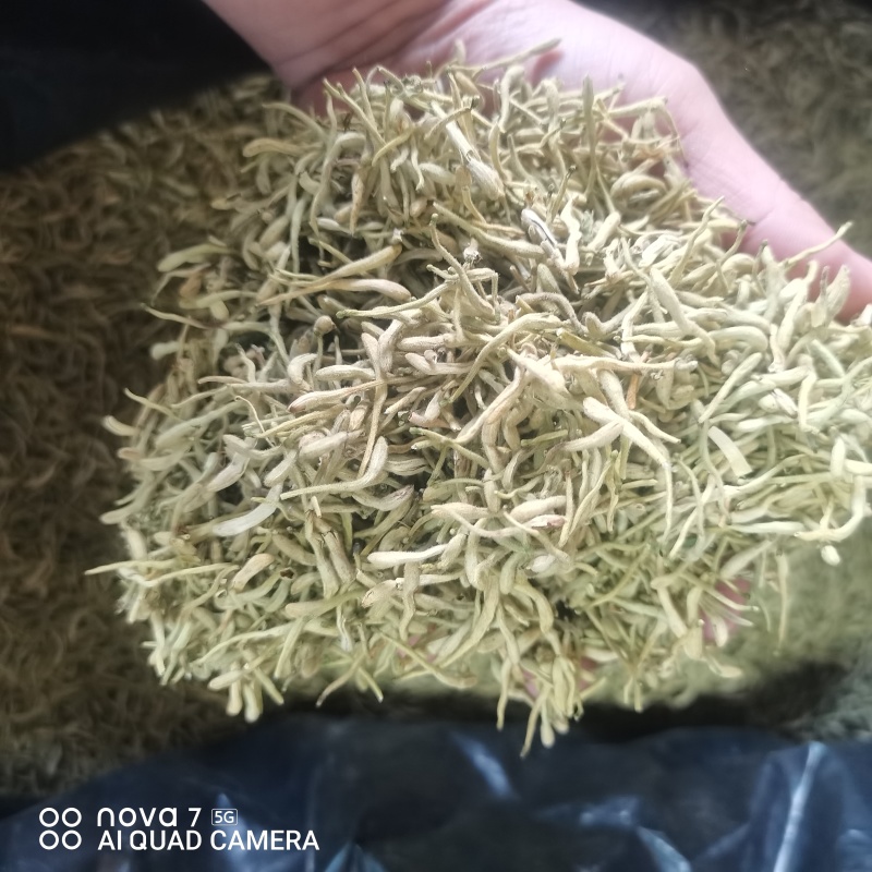 中药材金银花二花规格齐全大货供应一件代发