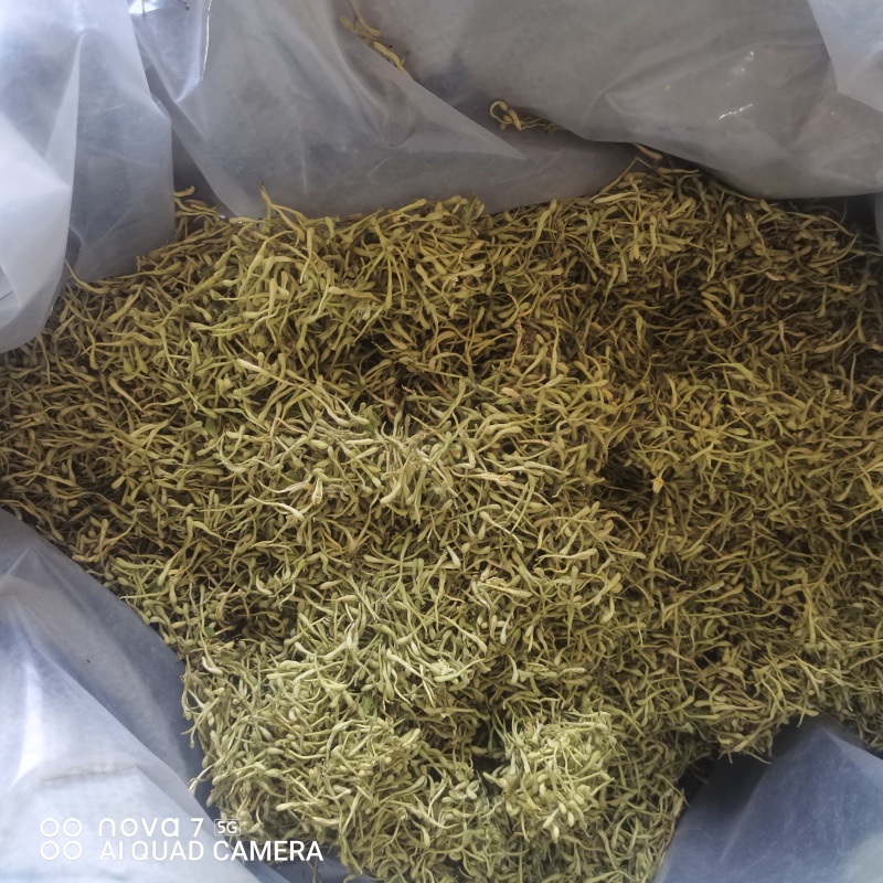 中药材金银花二花规格齐全大货供应一件代发