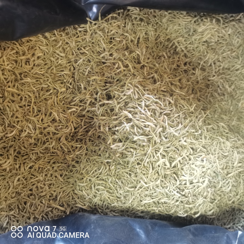 中药材金银花二花规格齐全大货供应一件代发
